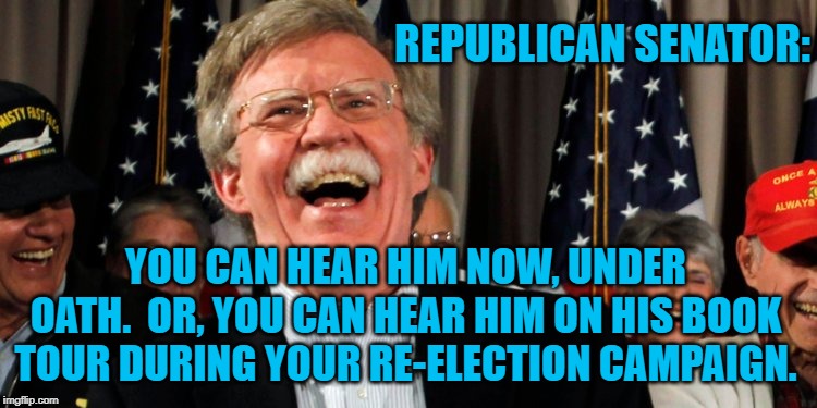 John Bolton Laughing | REPUBLICAN SENATOR:; YOU CAN HEAR HIM NOW, UNDER OATH.  OR, YOU CAN HEAR HIM ON HIS BOOK TOUR DURING YOUR RE-ELECTION CAMPAIGN. | image tagged in john bolton laughing | made w/ Imgflip meme maker