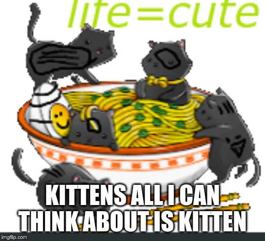 kittens | KITTENS ALL I CAN THINK ABOUT IS KITTEN | image tagged in cats | made w/ Imgflip meme maker