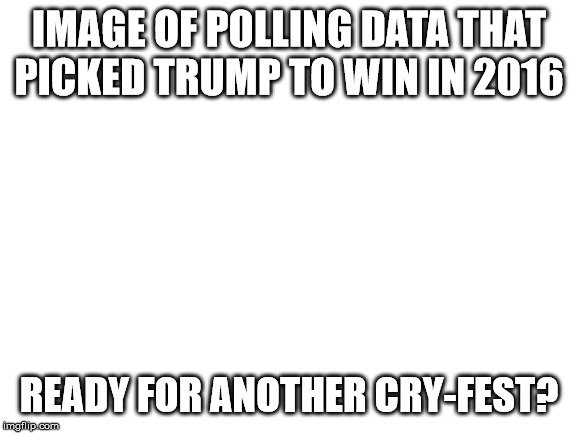 It will be amazing if a DEM wins anything after this past 3 years | IMAGE OF POLLING DATA THAT PICKED TRUMP TO WIN IN 2016; READY FOR ANOTHER CRY-FEST? | image tagged in blank white template,polls,president trump,your president,crying democrats | made w/ Imgflip meme maker