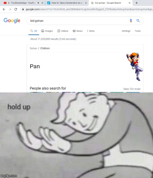 I tried to search up Kid Gohan but i got Pan | image tagged in fallout hold up,dragon ball | made w/ Imgflip meme maker