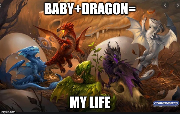 baby dragons | BABY+DRAGON=; MY LIFE | image tagged in dragons | made w/ Imgflip meme maker