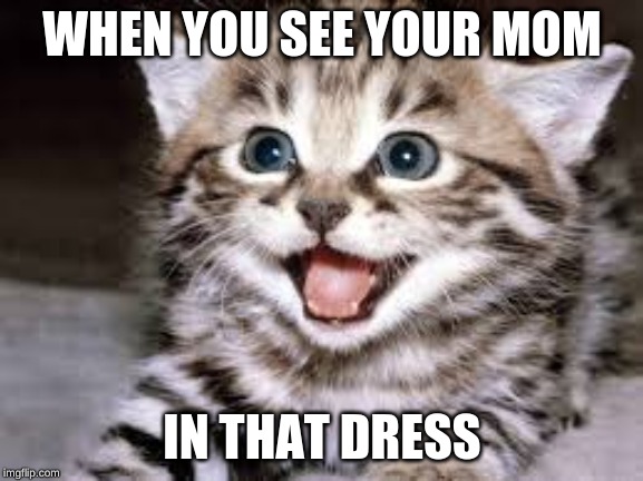 kittens and your mom | WHEN YOU SEE YOUR MOM; IN THAT DRESS | image tagged in your mom | made w/ Imgflip meme maker