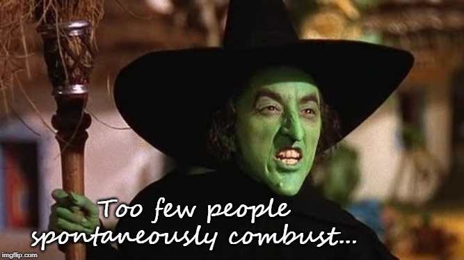 Ya think??? | Too few people spontaneously combust... | image tagged in spontaneous,fire,wicked witch of the west | made w/ Imgflip meme maker