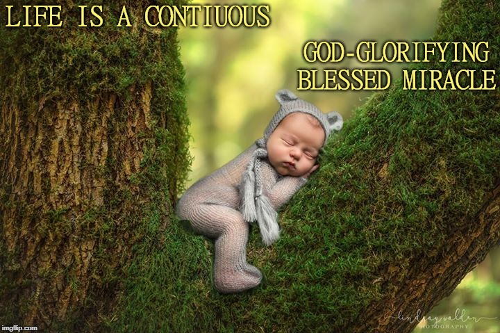 Life Is A Blessed Miracle | LIFE IS A CONTIUOUS; GOD-GLORIFYING
BLESSED MIRACLE | image tagged in affirmation,miracle,life | made w/ Imgflip meme maker