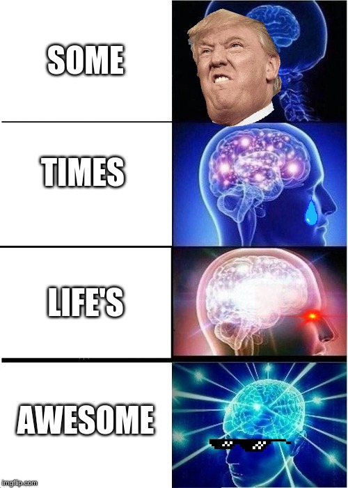 Expanding Brain | SOME; TIMES; LIFE'S; AWESOME | image tagged in memes,expanding brain | made w/ Imgflip meme maker