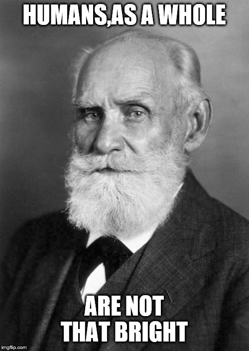 Pavlov | HUMANS,AS A WHOLE ARE NOT THAT BRIGHT | image tagged in pavlov | made w/ Imgflip meme maker