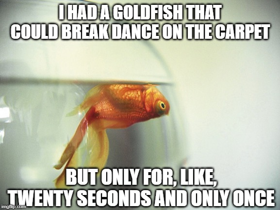 Poor Fishy | I HAD A GOLDFISH THAT COULD BREAK DANCE ON THE CARPET; BUT ONLY FOR, LIKE, TWENTY SECONDS AND ONLY ONCE | image tagged in dead fish | made w/ Imgflip meme maker