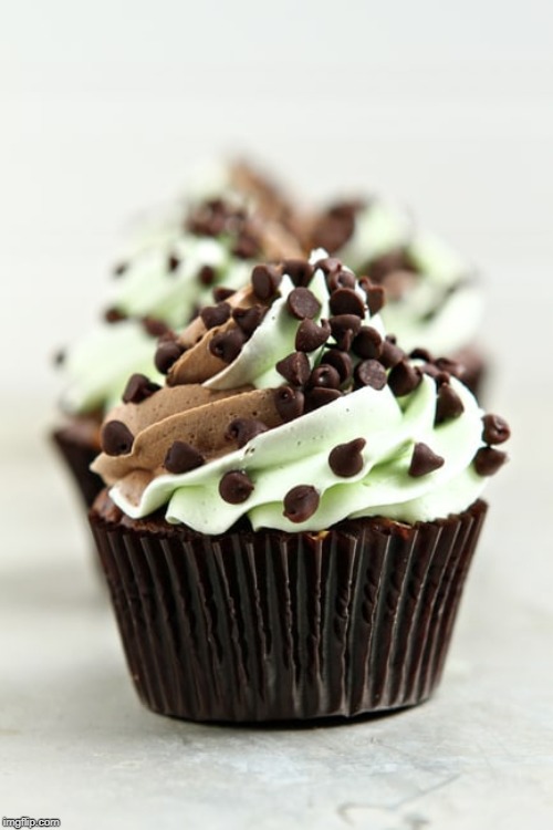 Mint Chocolate Cupcake | made w/ Imgflip meme maker