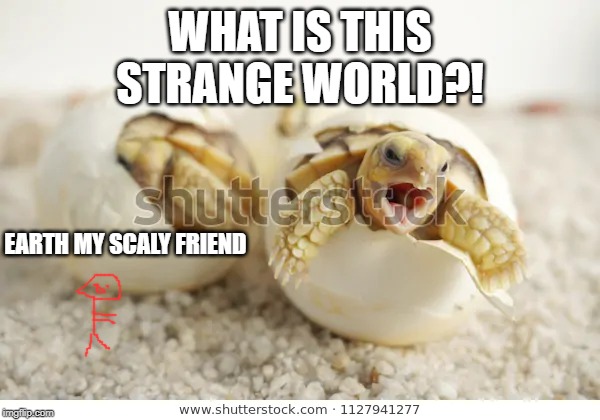 screaming hatchling | WHAT IS THIS STRANGE WORLD?! EARTH MY SCALY FRIEND | image tagged in screaming hatchling | made w/ Imgflip meme maker