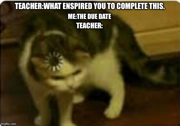 Buffering cat | TEACHER:WHAT ENSPIRED YOU TO COMPLETE THIS. ME:THE DUE DATE; TEACHER: | image tagged in buffering cat | made w/ Imgflip meme maker