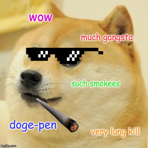 Doge | wow; much gangsta; such smokees; doge-pen; very lung kill | image tagged in memes,doge | made w/ Imgflip meme maker