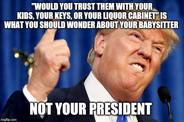 Unfit or Office | "WOULD YOU TRUST THEM WITH YOUR KIDS, YOUR KEYS, OR YOUR LIQUOR CABINET" IS WHAT YOU SHOULD WONDER ABOUT YOUR BABYSITTER; NOT YOUR PRESIDENT | image tagged in donald trump,impeach,election 2020,blue wave | made w/ Imgflip meme maker