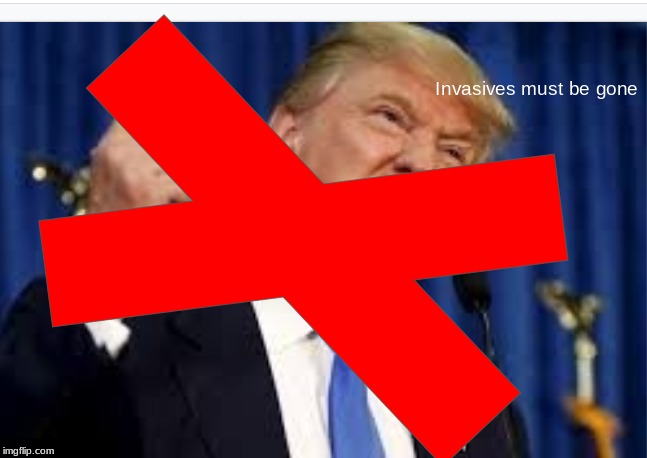 Invasives must be gone | image tagged in donald trump | made w/ Imgflip meme maker
