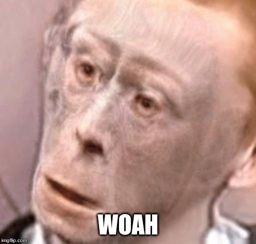 wot monkeh | WOAH | image tagged in wot monkeh | made w/ Imgflip meme maker