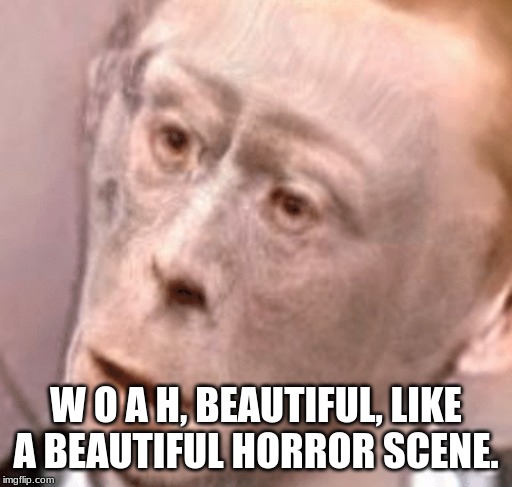 wot monkeh | W O A H, BEAUTIFUL, LIKE A BEAUTIFUL HORROR SCENE. | image tagged in wot monkeh | made w/ Imgflip meme maker