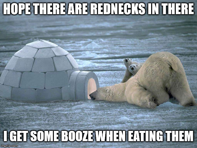 Polar Bear Igloo | HOPE THERE ARE REDNECKS IN THERE I GET SOME BOOZE WHEN EATING THEM | image tagged in polar bear igloo | made w/ Imgflip meme maker