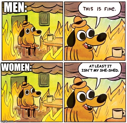 This is fine | MEN:; AT LEAST IT ISN'T MY SHE-SHED. WOMEN: | image tagged in this is fine dog,this is fine blank | made w/ Imgflip meme maker