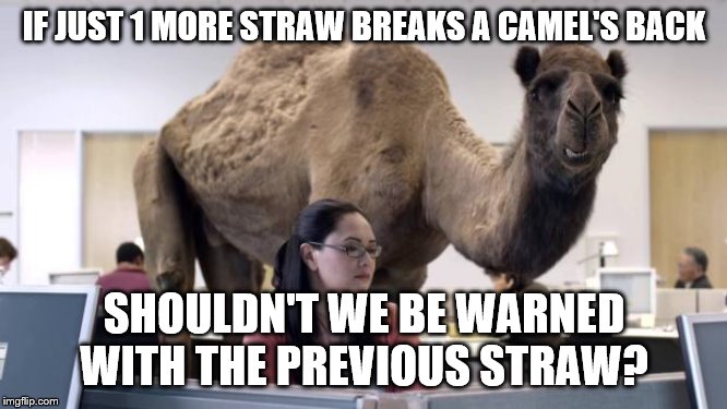 Hump Day Camel | IF JUST 1 MORE STRAW BREAKS A CAMEL'S BACK; SHOULDN'T WE BE WARNED WITH THE PREVIOUS STRAW? | image tagged in hump day camel | made w/ Imgflip meme maker