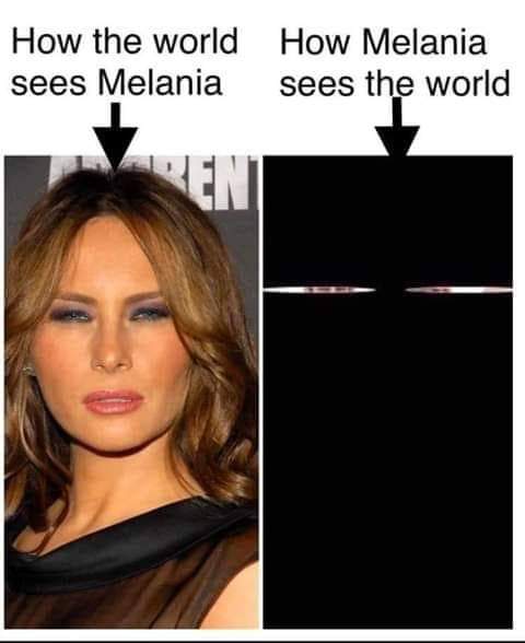 Melania's vision Blank Meme Template