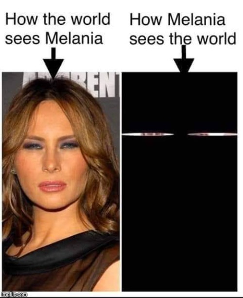 Melania's vision | image tagged in melania's vision | made w/ Imgflip meme maker