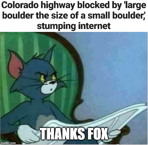 How can a large boulder be the size of a small boulder??? | THANKS FOX | image tagged in interrupting tom's read | made w/ Imgflip meme maker