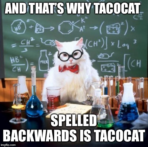 Chemistry Cat Meme | AND THAT’S WHY TACOCAT; SPELLED BACKWARDS IS TACOCAT | image tagged in memes,chemistry cat | made w/ Imgflip meme maker