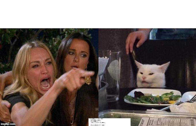 Woman Yelling At Cat | image tagged in memes,woman yelling at cat | made w/ Imgflip meme maker