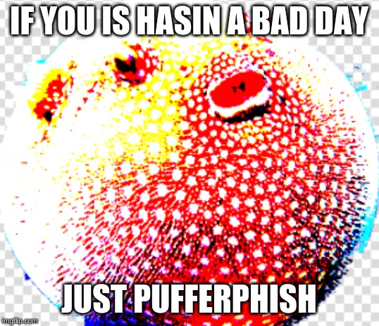 bob the phish | IF YOU IS HASIN A BAD DAY; JUST PUFFERPHISH | image tagged in memes | made w/ Imgflip meme maker
