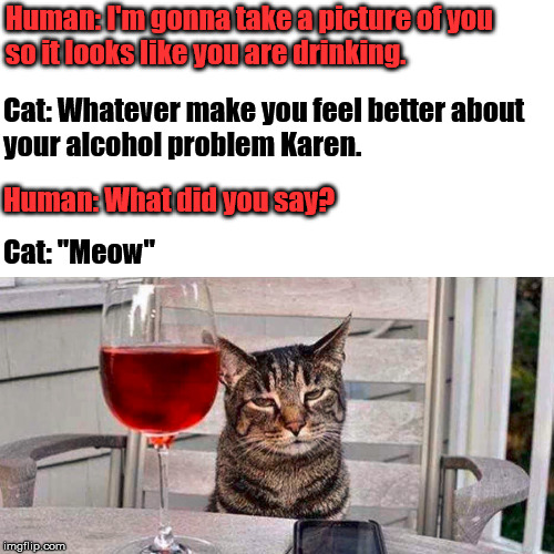 Human coping | Human: I'm gonna take a picture of you 
so it looks like you are drinking. Cat: Whatever make you feel better about 
your alcohol problem Karen. Human: What did you say? Cat: "Meow" | image tagged in cats | made w/ Imgflip meme maker