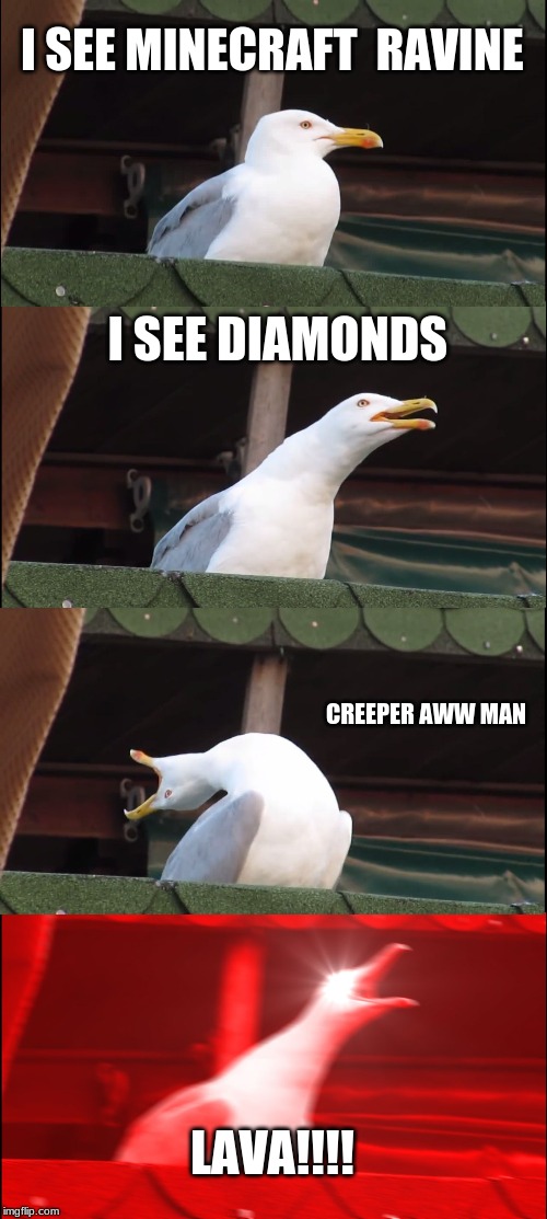 Inhaling Seagull | I SEE MINECRAFT  RAVINE; I SEE DIAMONDS; CREEPER AWW MAN; LAVA!!!! | image tagged in memes,inhaling seagull | made w/ Imgflip meme maker