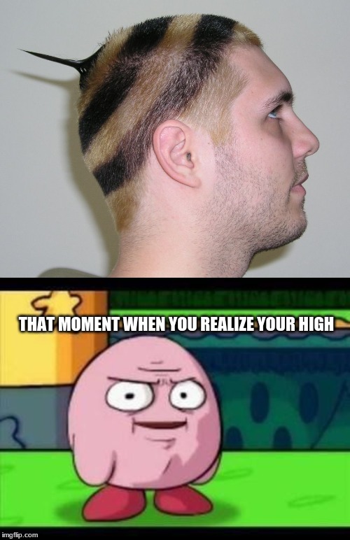 your flipin high | THAT MOMENT WHEN YOU REALIZE YOUR HIGH | image tagged in why | made w/ Imgflip meme maker