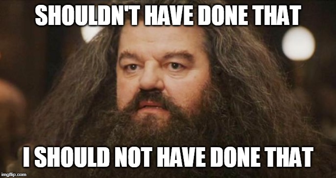 Hagrid | SHOULDN'T HAVE DONE THAT; I SHOULD NOT HAVE DONE THAT | image tagged in hagrid | made w/ Imgflip meme maker