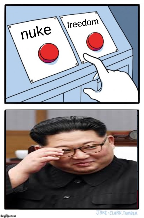 Two Buttons Meme | freedom; nuke | image tagged in memes,two buttons | made w/ Imgflip meme maker