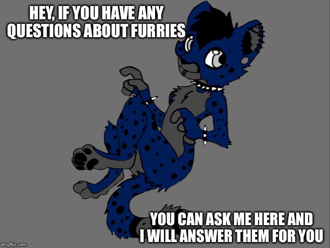 Ask me any question about furries | HEY, IF YOU HAVE ANY QUESTIONS ABOUT FURRIES; YOU CAN ASK ME HERE AND I WILL ANSWER THEM FOR YOU | image tagged in furries,furry,questions | made w/ Imgflip meme maker