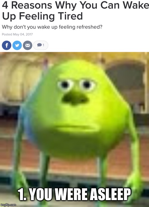 I am done with this world. | 1. YOU WERE ASLEEP | image tagged in sully wazowski,sleep,sleeping,why,memes,funny | made w/ Imgflip meme maker