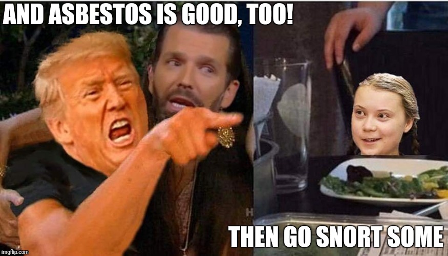 Trump Greta | AND ASBESTOS IS GOOD, TOO! THEN GO SNORT SOME | image tagged in trump greta | made w/ Imgflip meme maker