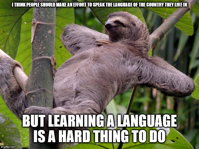 Lazy Sloth | I THINK PEOPLE SHOULD MAKE AN EFFORT TO SPEAK THE LANGUAGE OF THE COUNTRY THEY LIVE IN BUT LEARNING A LANGUAGE IS A HARD THING TO DO | image tagged in lazy sloth | made w/ Imgflip meme maker