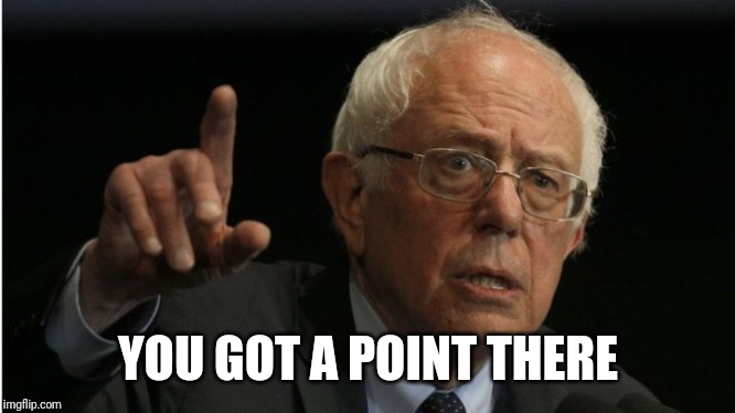 Bernie He Has A Point | YOU GOT A POINT THERE | image tagged in bernie he has a point | made w/ Imgflip meme maker