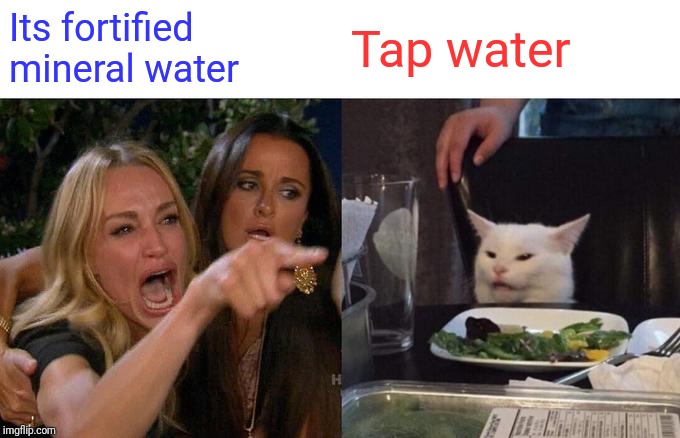 Woman Yelling At Cat Meme | Its fortified mineral water; Tap water | image tagged in memes,woman yelling at cat | made w/ Imgflip meme maker