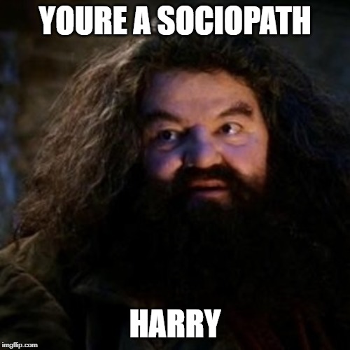 You're a wizard harry | YOURE A SOCIOPATH; HARRY | image tagged in you're a wizard harry | made w/ Imgflip meme maker