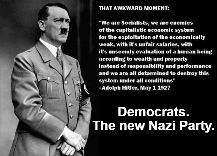 Democrats. The New Nazi Party. | Democrats. The new Nazi Party. | image tagged in nazis,democrats,hitler quote,progressives,well this is awkward,awkward moment | made w/ Imgflip meme maker