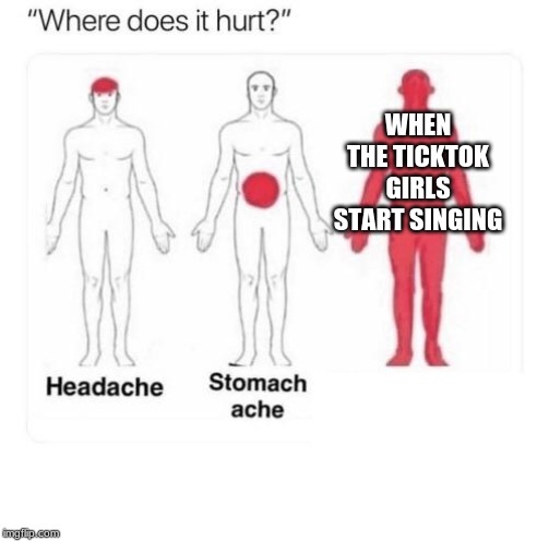Where does it hurt | WHEN THE TICKTOK GIRLS START SINGING | image tagged in where does it hurt | made w/ Imgflip meme maker