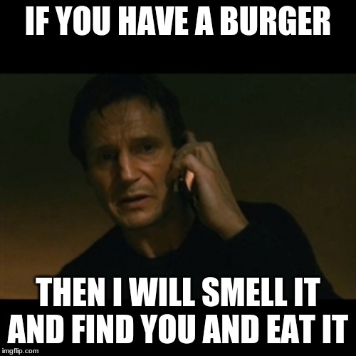 Liam Neeson Taken Meme | IF YOU HAVE A BURGER; THEN I WILL SMELL IT AND FIND YOU AND EAT IT | image tagged in memes,liam neeson taken | made w/ Imgflip meme maker