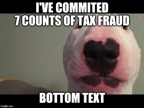I'VE COMMITED 7 COUNTS OF TAX FRAUD; BOTTOM TEXT | image tagged in bottom text,taxes | made w/ Imgflip meme maker