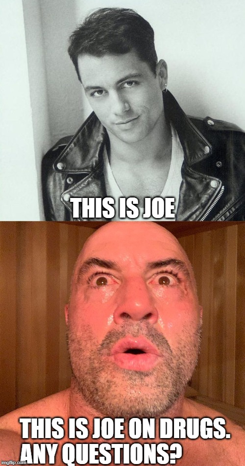 Fry Brain, Fry! | THIS IS JOE; THIS IS JOE ON DRUGS.  ANY QUESTIONS? | image tagged in funny memes,joe rogan,drugs are bad,don't do drugs,before and after | made w/ Imgflip meme maker