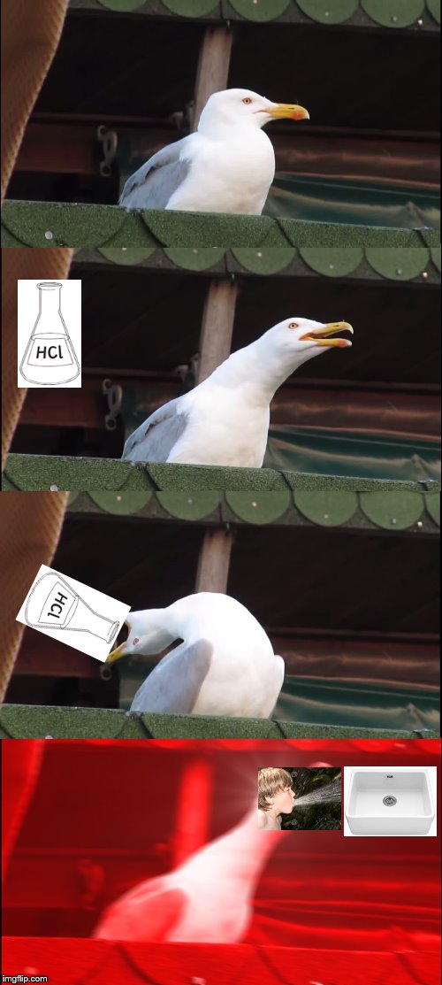 Inhaling Seagull | image tagged in memes,inhaling seagull | made w/ Imgflip meme maker