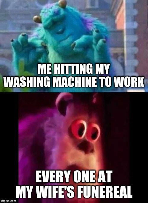 ME HITTING MY WASHING MACHINE TO WORK; EVERY ONE AT MY WIFE'S FUNEREAL | image tagged in sully groan,sully shutdown | made w/ Imgflip meme maker