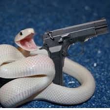 snake got gun Blank Meme Template