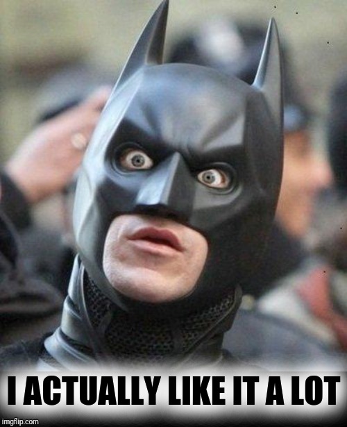 Shocked Batman | I ACTUALLY LIKE IT A LOT | image tagged in shocked batman | made w/ Imgflip meme maker