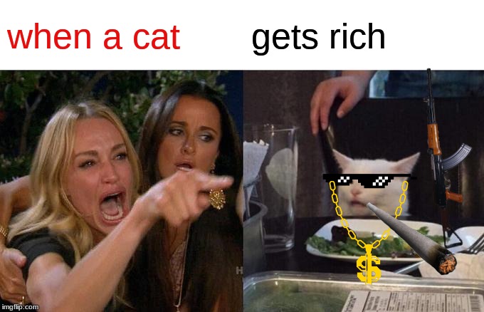 Woman Yelling At Cat Meme | when a cat; gets rich | image tagged in memes,woman yelling at cat | made w/ Imgflip meme maker